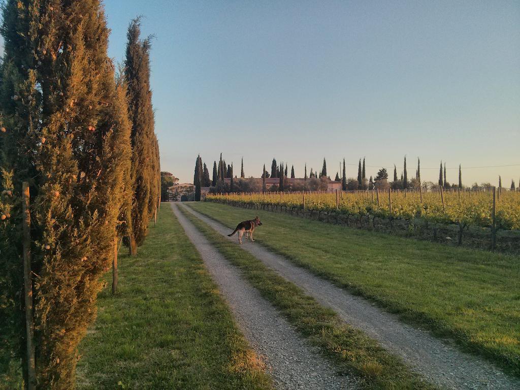 Argiano Dimore Wine Relais المظهر الخارجي الصورة